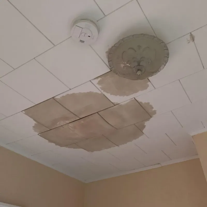 Ceiling Water Damage Repair in Otisville, NY