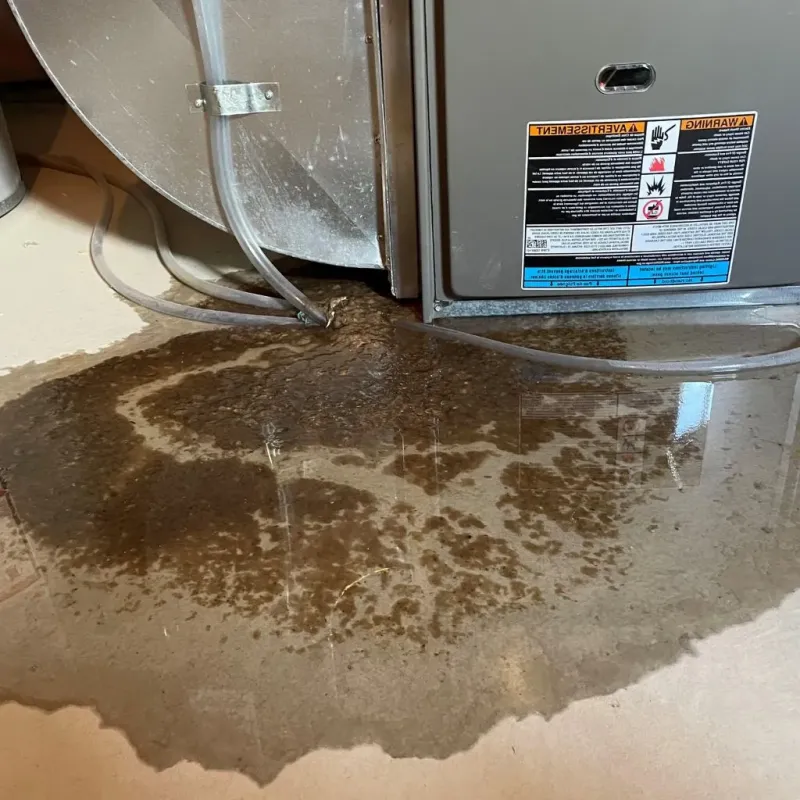 Pipe Burst and Leak Restoration in Otisville, NY